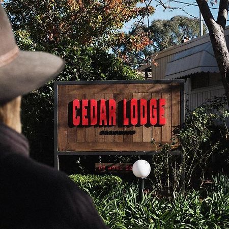 Cedar Lodge Braidwood エクステリア 写真