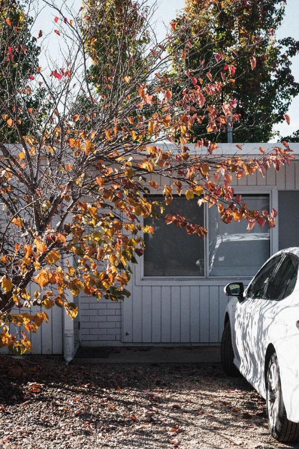 Cedar Lodge Braidwood エクステリア 写真